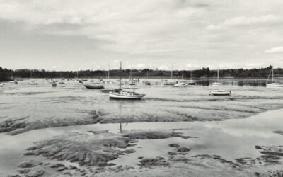 Étape 10: de Pénestin à Arzal