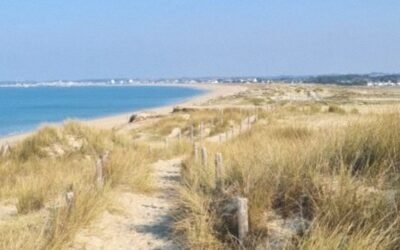 Étape 7: de Guérande à Mesquer