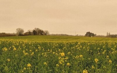 Étape 16: de Damgan à Surzur