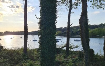 Étape 27: de Larmor-Baden au Bono