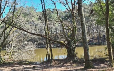 Étape 17: de Surzur à Theix