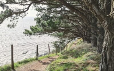 Étape 12: d’Arzal à Billiers