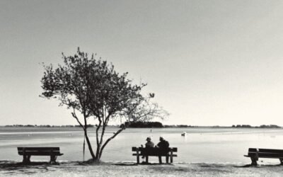 Étape 24: Île-aux-Moines